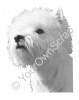Westie